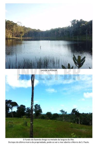 Conheça Fazenda em Itaparica, Bahia - BA91001 - 1 Fazenda em Itaparica, Bahia - BA91001 - 1
