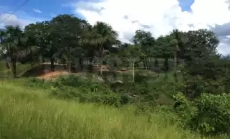 Área em Careiro, Amazonas - AM53001 - 3