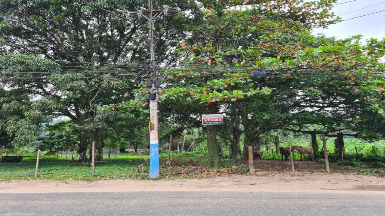 Conheça Venda Terreno Mangaratiba/RJ Com11000 M². - 391 - 3 3