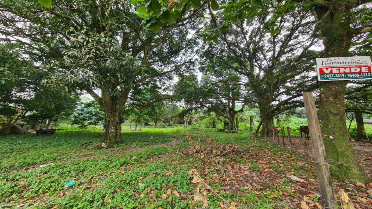 Conheça Venda Terreno Mangaratiba/RJ Com11000 M². - 391 - 1 1