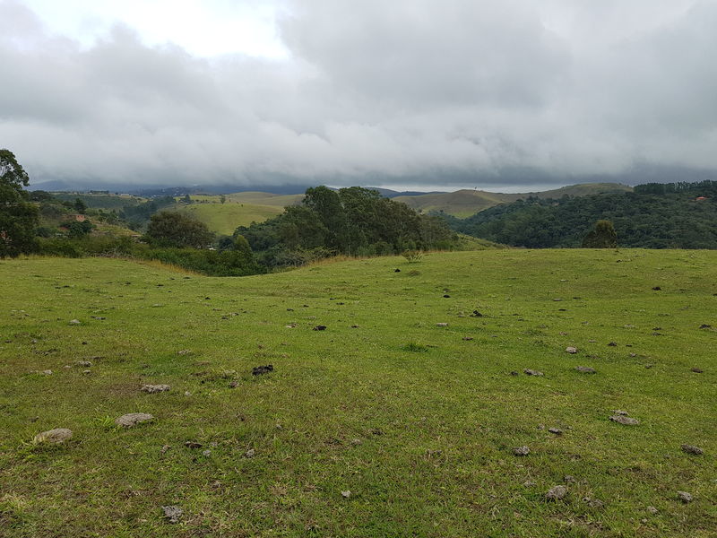 Conheça Sítio com 40,000.00 m² com lago, pasto e área para plantação. - stary - 25 Sítio com 40,000.00 m² com lago, pasto e área para plantação. - stary - 25