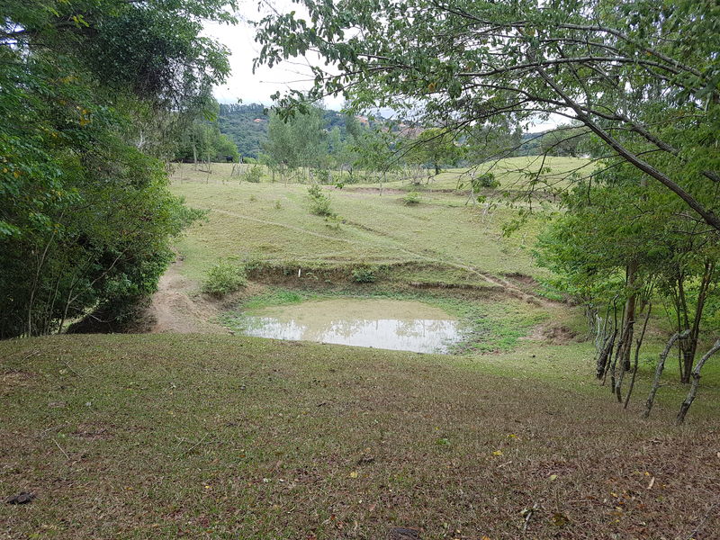 Conheça Sítio com 40,000.00 m² com lago, pasto e área para plantação. - stary - 31 Sítio com 40,000.00 m² com lago, pasto e área para plantação. - stary - 31