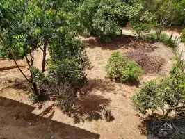 Conheça Casa 3 quartos à venda Monte Alegre, Miguel Pereira - R$ 420.000 - csam420 - 28 Casa 3 quartos à venda Monte Alegre, Miguel Pereira - R$ 420.000 - csam420 - 28