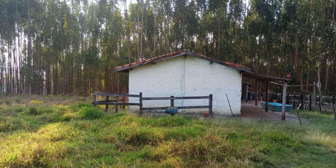 Sítio à venda Zona Rural, Águas de São Pedro - R$ 600.000 - ST005 - 17