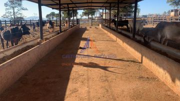 Conheça Fazenda 14000m² à venda - 001 - 19 Fazenda 14000m² à venda - 001 - 19