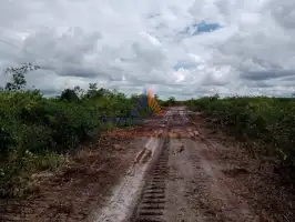 Conheça Fazenda à venda BR 163 Matupa Para, Para,Marituba - 13 - 7 Fazenda à venda BR 163 Matupa Para, Para,Marituba - 13 - 7