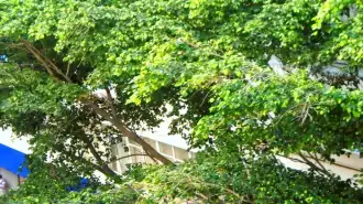 Conheça Kitnet/Conjugado 19m² à venda Rua Djalma Ulrich,Copacabana, Zona Sul,Rio de Janeiro - R$ 380.000 - P-2065 - 23 Kitnet/Conjugado 19m² à venda Rua Djalma Ulrich,Copacabana, Zona Sul,Rio de Janeiro - R$ 380.000 - P-2065 - 23