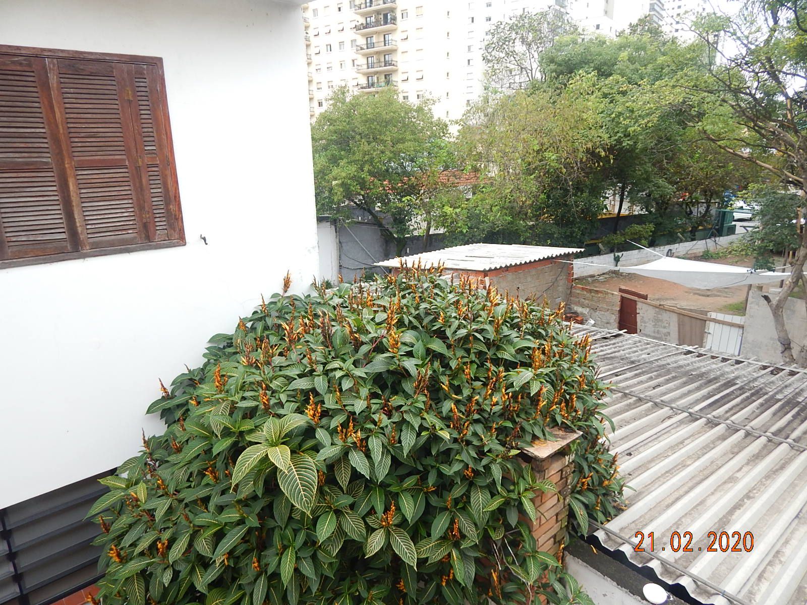Casa 4 quartos à venda São Paulo,SP - R$ 2.050.000 - VENDA0001CASA - 20