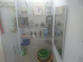 Conheça Imóvel, Brás de Pina Rio de Janeiro, RJ / Venda - 429 - 31 Imóvel, Brás de Pina Rio de Janeiro, RJ / Venda - 429 - 31