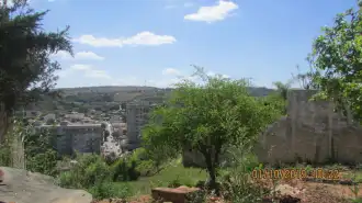 Conheça IMÓVEL, CASA PARA LOCAR, BAIRRO MAGALHÃES, PEDRO LEOPOLDO, MINAS GERAIS - CS284 - 17 IMÓVEL, CASA PARA LOCAR, BAIRRO MAGALHÃES, PEDRO LEOPOLDO, MINAS GERAIS - CS284 - 17
