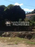 Terreno Comercial à venda Palmeiras, Belo Horizonte - IP-105 - 5