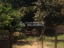Terreno Comercial à venda Palmeiras, Belo Horizonte - IP-105 - 8