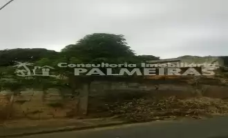 Terreno Comercial à venda Palmeiras, Belo Horizonte - IP-106 - 5