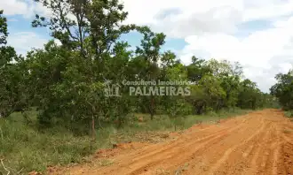 Conheça Sítio à venda Centro, Felixlândia - R$ 36.000 - IP-133 - 9 Sítio à venda Centro, Felixlândia - R$ 36.000 - IP-133 - 9
