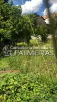 Lote a venda, Palmeiras, Belo Horizonte - IP-173 - 4